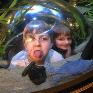 Meet your Posher, Stephanie