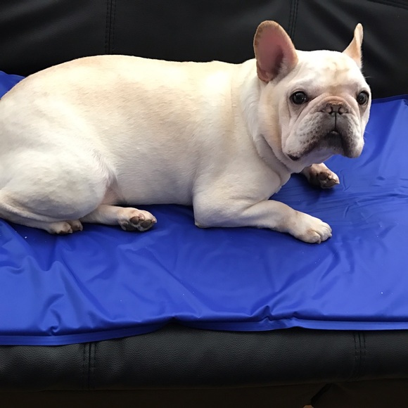 Meet your Posher, Tiffany - Picture 1 of 1