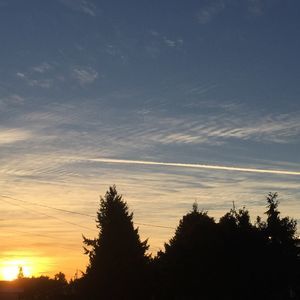 Meet your Posher, Ashlan