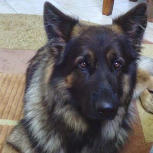 Meet your Posher, Mila