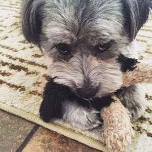 Meet your Posher, Deanna