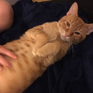 Meet your Posher, Lori