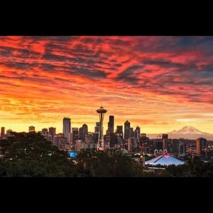 Brand New designer Sunglasses are my specialty.