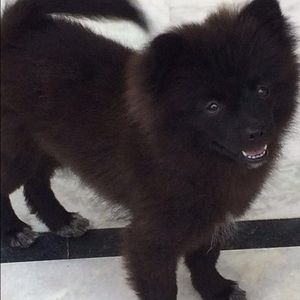 Meet your Posher, Pardeep