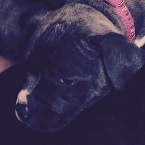 Meet your Posher, Savannah