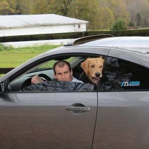 Meet your Posher, William