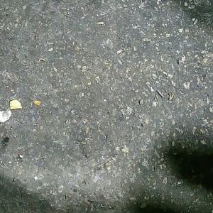 Meet your Posher, Gerald