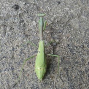 Meet your Posher, Catherine