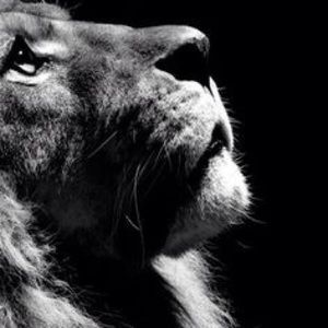 Meet your Posher, Edgar