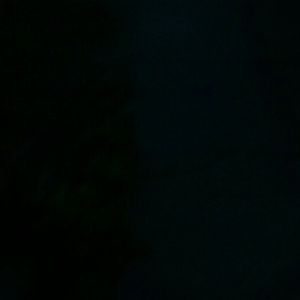 Meet your Posher, Teri