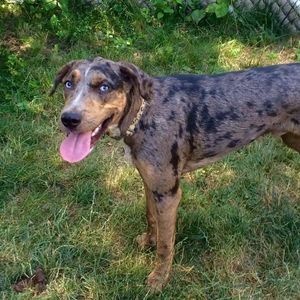 Meet your Posher, Lucy