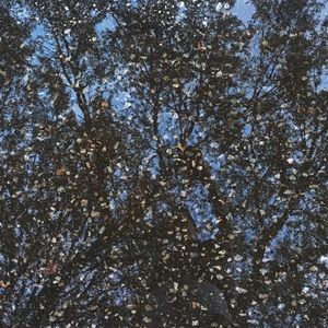 Meet your Posher, Karl