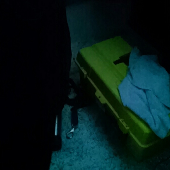 Meet your Posher, William - Picture 1 of 1