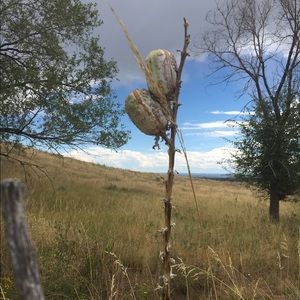 Meet your Posher, Jay