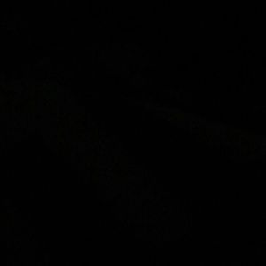 Meet your Posher, Dominique