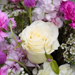 Meet your Posher, Marcela