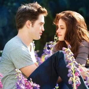 Meet your Posher, Flaka