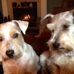 Meet your Posher, Judy