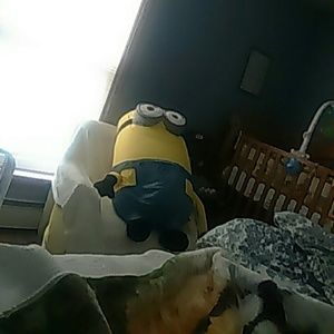 Meet your Posher, Lyssette