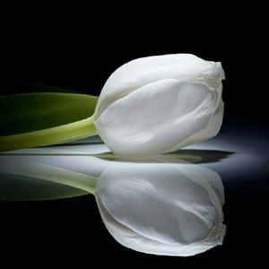 Meet your Posher, Kenyatta