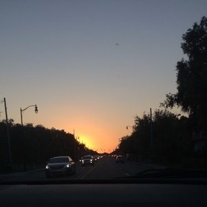 Meet your Posher, Sammy