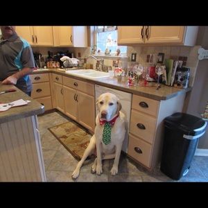 Meet your Posher, Terri