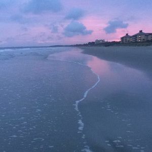 Meet your Posher, Malley