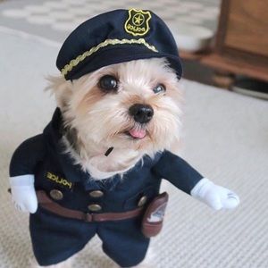 Meet your Posher, Jessie