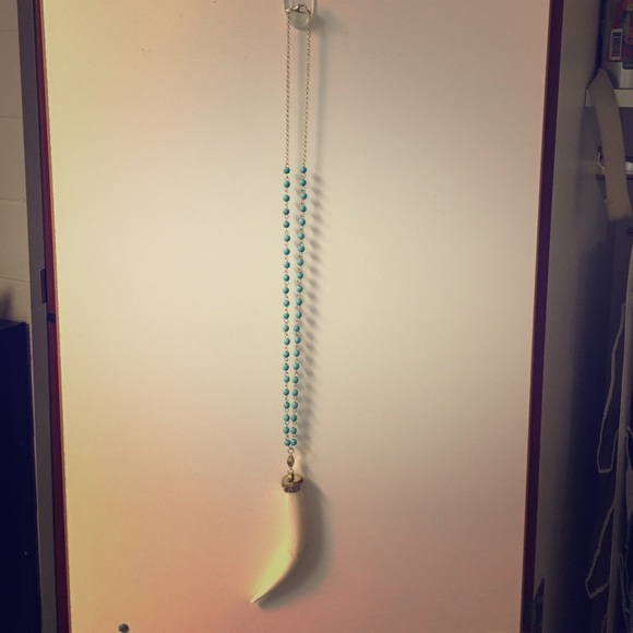 Long horn necklace