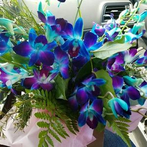 Meet your Posher, Chelsea