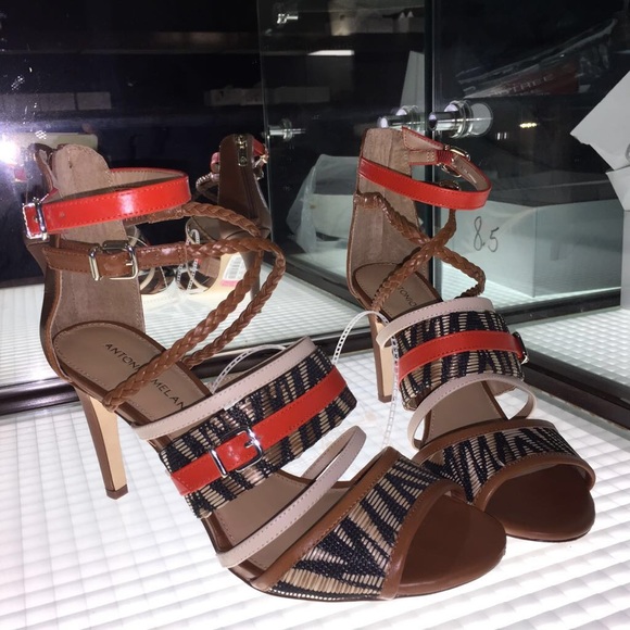 Meet your Posher, Shedna - Picture 1 of 1