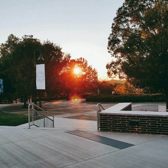 Meet your Posher, Ainsley - Picture 1 of 1