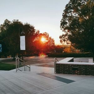 Meet your Posher, Ainsley