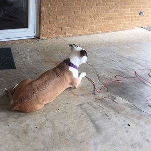 Meet your Posher, Angela