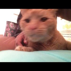 Meet your Posher, Cara