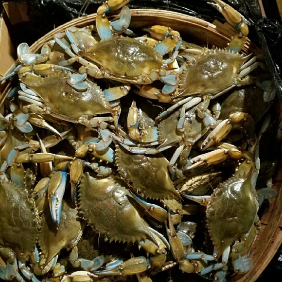 Meet your Posher, Angela - Picture 1 of 1