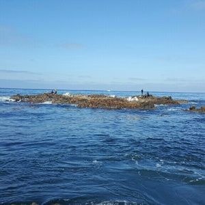 Meet your Posher, Benny