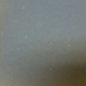 Meet your Posher, Catina