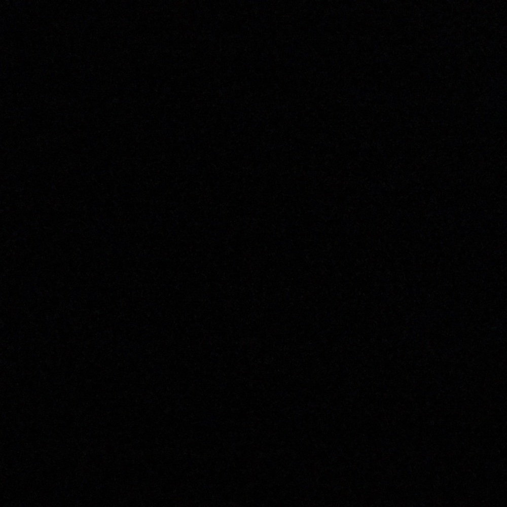 Ignore