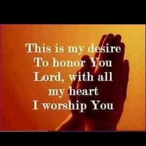 Meet your Posher, Gracie