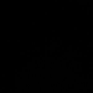 Meet your Posher, Jorge