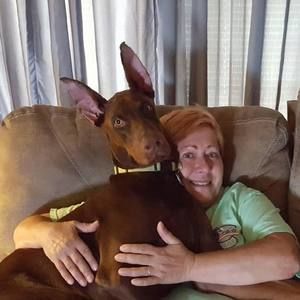 Meet your Posher, Deborah