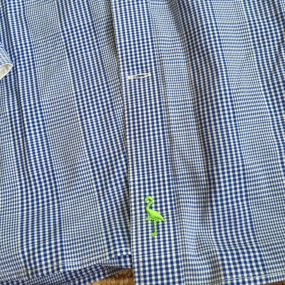Tailorbyrd Button Down - image 2