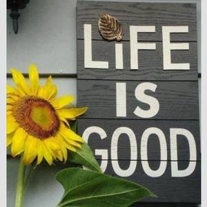 Meet your Posher, Dawn