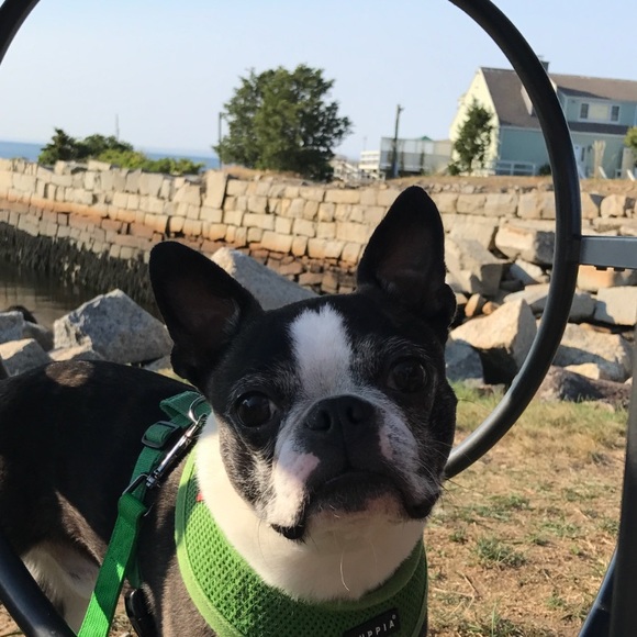 Hi and Welcome to My Closet 💜 - Picture 8 of 12