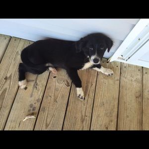 Meet your Posher, Kris