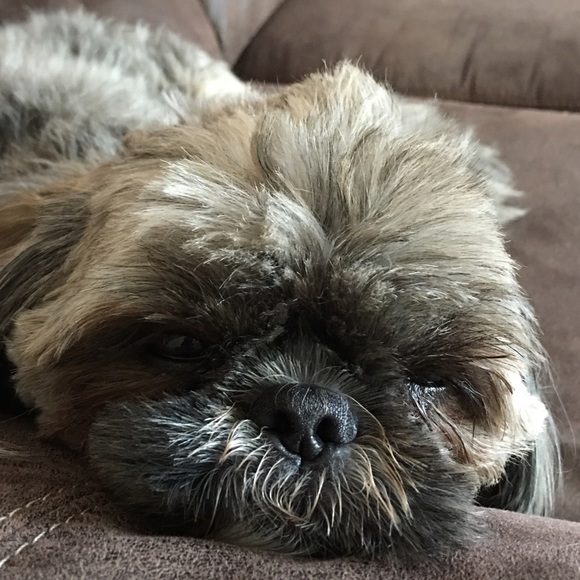 Meet your Posher, Michelle - Picture 1 of 1