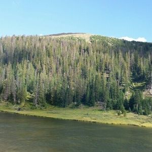 Meet your Posher, Satish