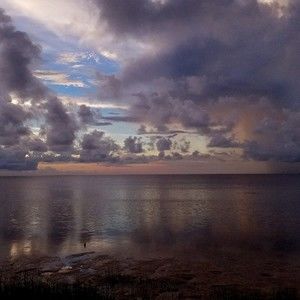 Meet your Posher, Trella