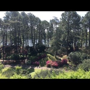 Meet your Posher, Joy